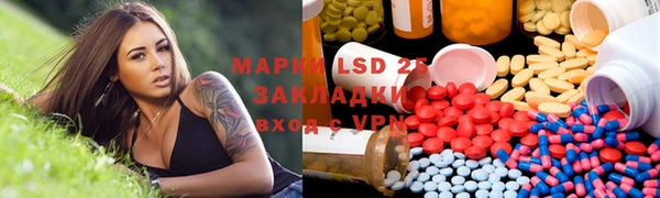 ПСИЛОЦИБИНОВЫЕ ГРИБЫ Абаза