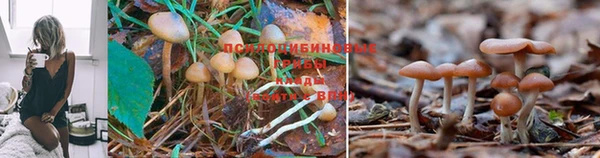 соль курить ск Абинск