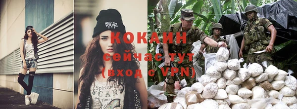 ПСИЛОЦИБИНОВЫЕ ГРИБЫ Абаза