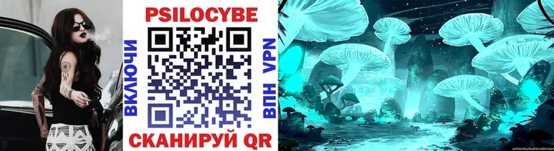 Галлюциногенные грибы Psilocybine cubensis  Алагир 